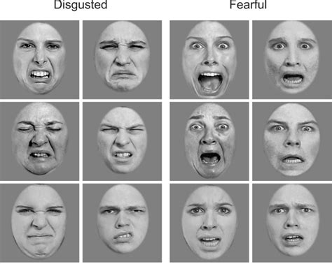 disgusted facial|The Psychology of Disgust .